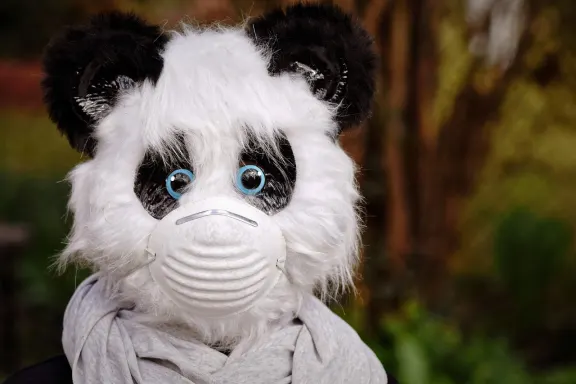 NoxWin Kasino Podpora